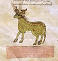 Beati in Apocalipsin libri duodecim