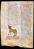 Beati in Apocalipsin libri duodecim