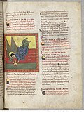 Saint-Sever Beatus