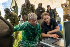 BioRescue oocyte collection in Kenya (photo: Jon A. Juarez)