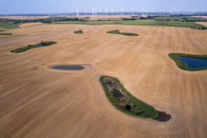 Small water bodies and wind turbines in the agricultural landscape (photo by Jon A. Juraez) Small water bodies and wind turbines in the agricultural landscape (photo by Jon A. Juraez)