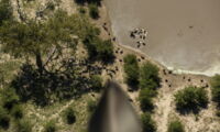 A vulture's view into the ecosystem (composite image, photos by Jon A. Juarez)