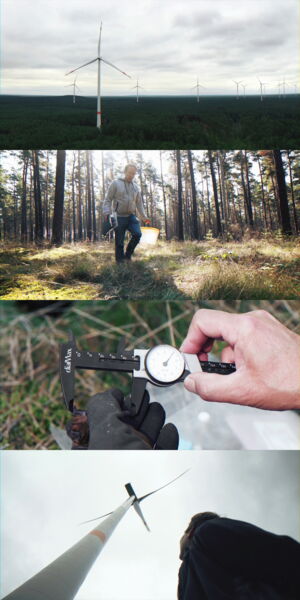 Field work with bats in a forest in Brandenburg, Germany (photos: Valentin Giebel) Field work with bats in a forest in Brandenburg, Germany (photos: Valentin Giebel)