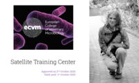 Dr. Kristin Mühldorfer has been recognised as de facto diplomate of the ECVM