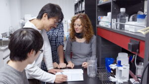 Masafumi Hayashi, Katsuhiko Hayashi and Barbara de Mori in the stem cell laboratory at Osaka University (Foto: Antony Mwangi) Masafumi Hayashi, Katsuhiko Hayashi and Barbara de Mori in the stem cell laboratory at Osaka University (Foto: Antony Mwangi)