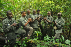 Rangers in the rain forest. Photo: globalwildlife Rangers in the rain forest. Photo: globalwildlife