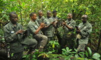 Rangers in the rain forest. Photo: globalwildlife