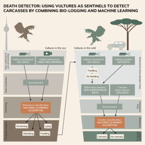 Graphical abstract about the AI development (Illustration by Clara C. Anders)