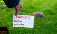 Hedgehog safety tests by Leibniz-IZW, CTS and c't (photo by Berti Kolbow-Lehradt)