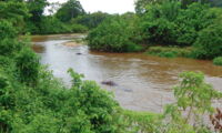 Ishasha River along the border between Uganda and Democratic Republic of Congo represents a river water sampling site with importance to wildlife. (photo by David Soto)