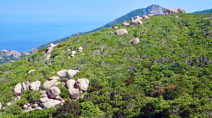 Landscape of the Rui Chua National Park in Viet Nam (photo by Andrew Tilker)