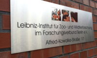 Leibniz-IZW| Foto: Steven Seet