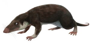 Morganucodon, one of the oldest known mammal-like species (Source: FunkMonk (Michael B. H.), CC BY-SA 3.0 via Wikimedia Commons) Morganucodon, one of the oldest known mammal-like species (Source: FunkMonk (Michael B. H.), CC BY-SA 3.0 via Wikimedia Commons)