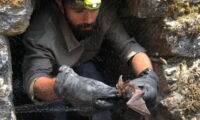 Field work on bats in the Himalayas (Foto: Emily Stanford)