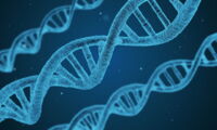 DNA, Author: pixabay.com