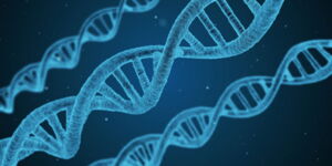 DNA, Author: pixabay.com DNA, Author: pixabay.com