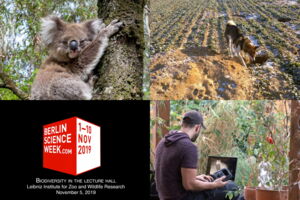 Varied program at the Leibniz-IZW for the Berlin Science Week (Photos: unsplash.com/Leibniz-IZW/Berlin Science Week) Varied program at the Leibniz-IZW for the Berlin Science Week (Photos: unsplash.com/Leibniz-IZW/Berlin Science Week)