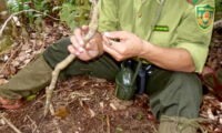Removing snares, Author: Andrew Tilker/Leibniz-IZW