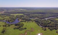 Old forests and riverine habitats in Eastern Ukraine (photo: Yehor Yatsiuk)