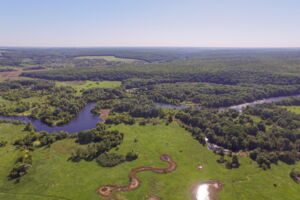 Old forests and riverine habitats in Eastern Ukraine (photo Yehor Yatsiuk)
