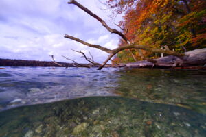 Stechlinsee. Foto: Solvig Zankl/IGB Stechlinsee. Foto: Solvig Zankl/IGB