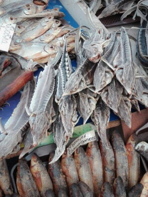 Sturgeon at fish market in Eastern Europe (photo: George Caracas/WWF)