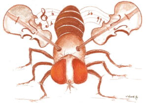 Saola cameratrap 2013 WWF Fruit fly (Violin Fly)/Patrick Debelle