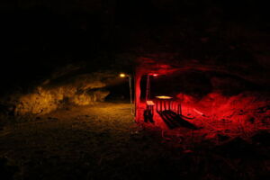 Examination of responses of bats to different illuminations of cave entrances (photos: Christian Greif) Examination of responses of bats to different illuminations of cave entrances (photos: Christian Greif)