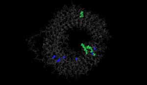 TLR molecule; Differences labeled with colour. Photo: IZW TLR molecule; Differences labeled with colour. Photo: IZW